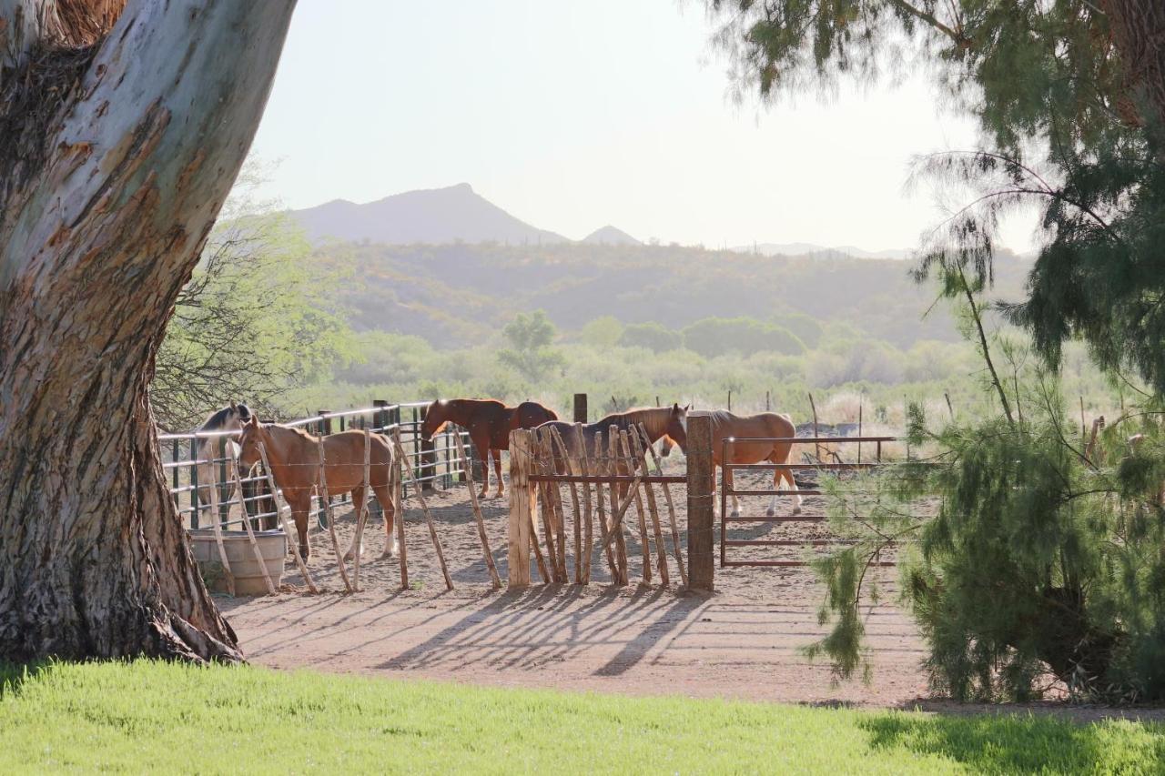 Kay El Bar Guest Ranch Hotel Wickenburg Exterior photo